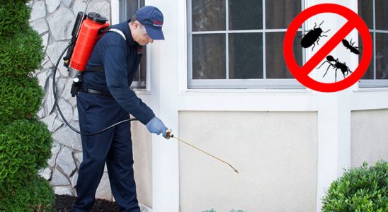 Kocaeli Gümüşkurt İlaçlama böcek ilaçlama ve haşere kontrolü — ilaclama-tr.com